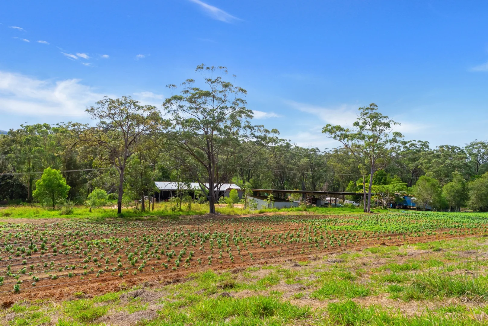 Additional image 31 of Lot 83 Chester Road, Wondecla QLD 4887