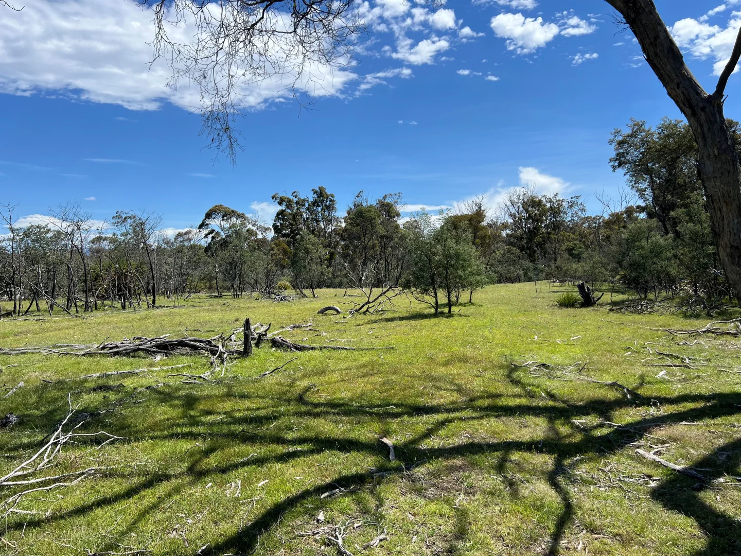 Additional image 13 of 3 Leona Road, Avoca TAS 7213