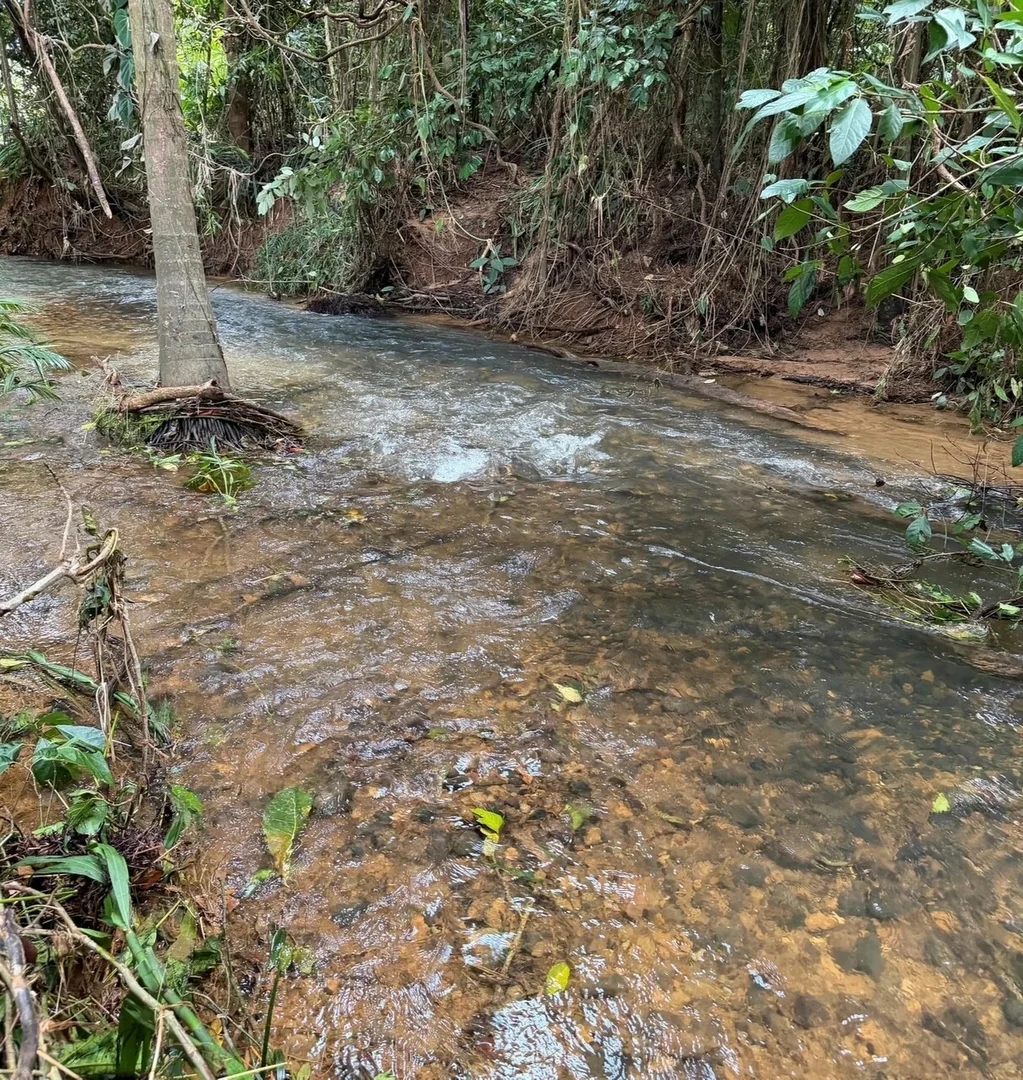 Additional image 2 of 16 Royal Palm Dr, Mission Beach QLD 4852