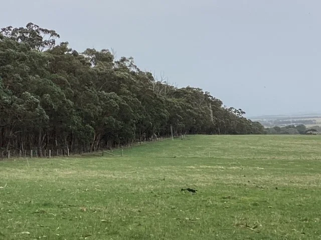 Additional image 13 of 236 Morrisons Lane, Korobeit VIC 3341