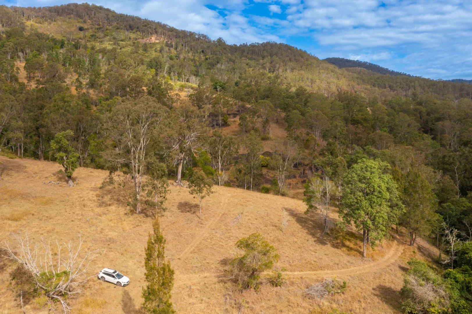 Additional image 18 of Lot 24 209 Tobins River Road, Mount Seaview NSW 2446