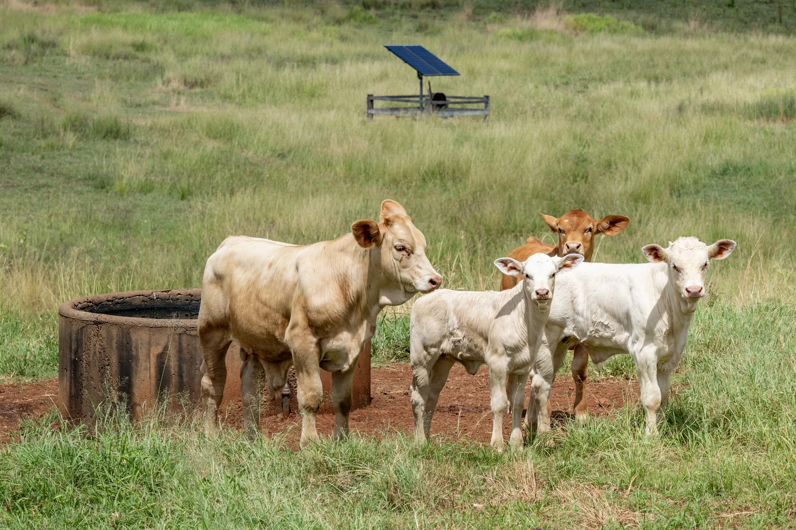 Additional image 17 of Goomeribong QLD 4601