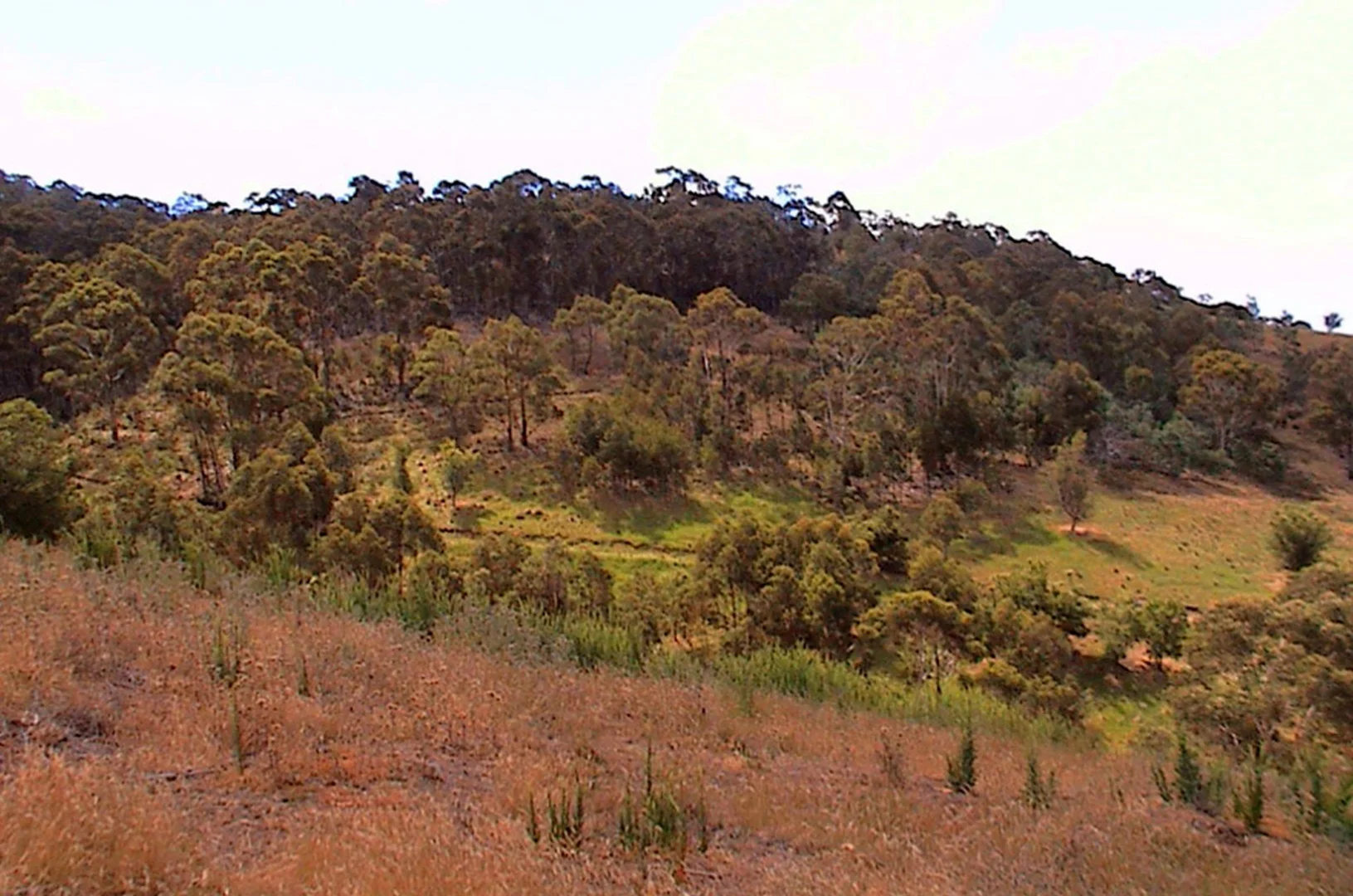 Additional image 24 of Lot 2 Granton Heights Road, Granton TAS 7030