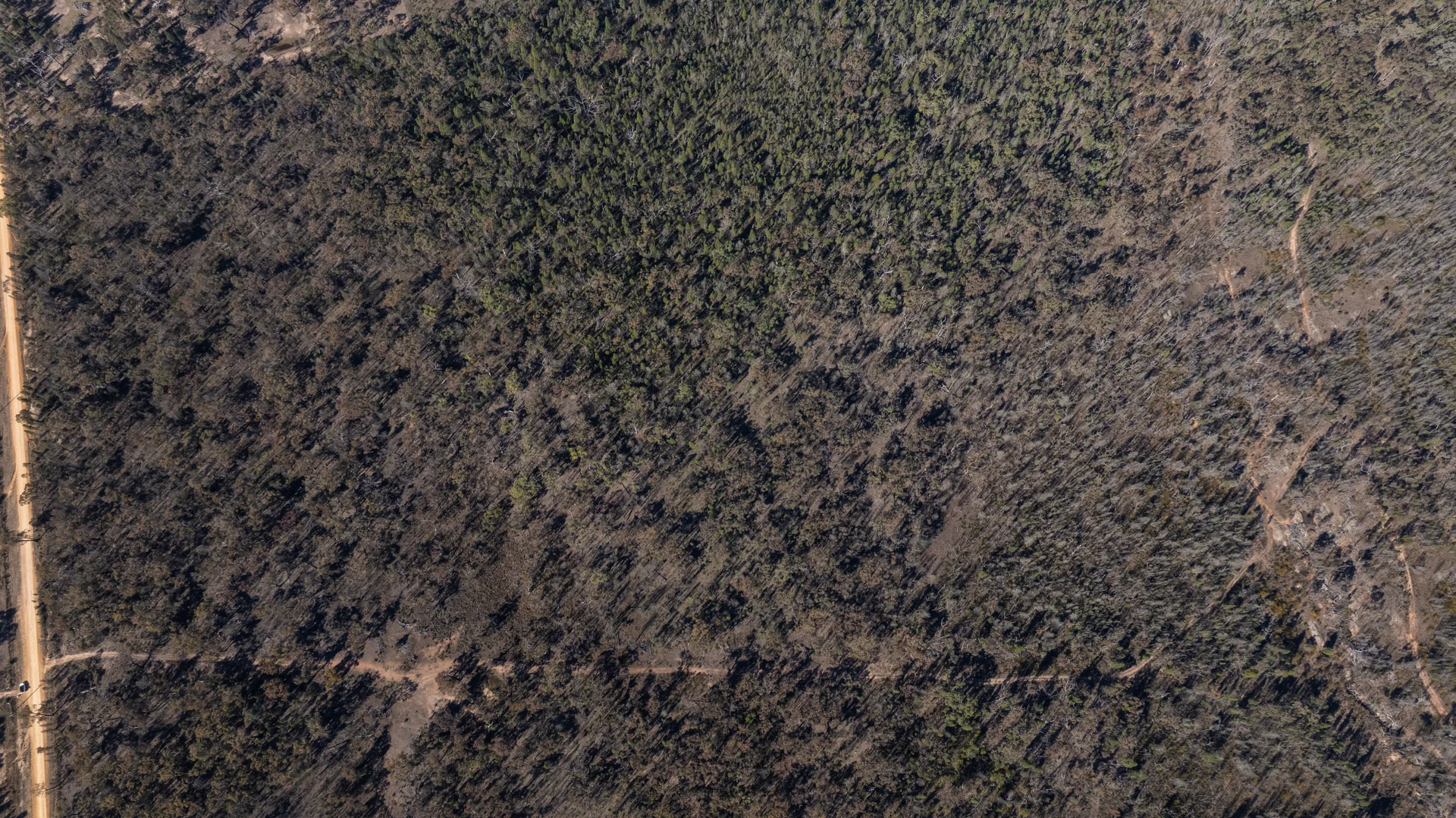 Additional image 7 of 250 Springwood Park Road, Gulgong NSW 2852