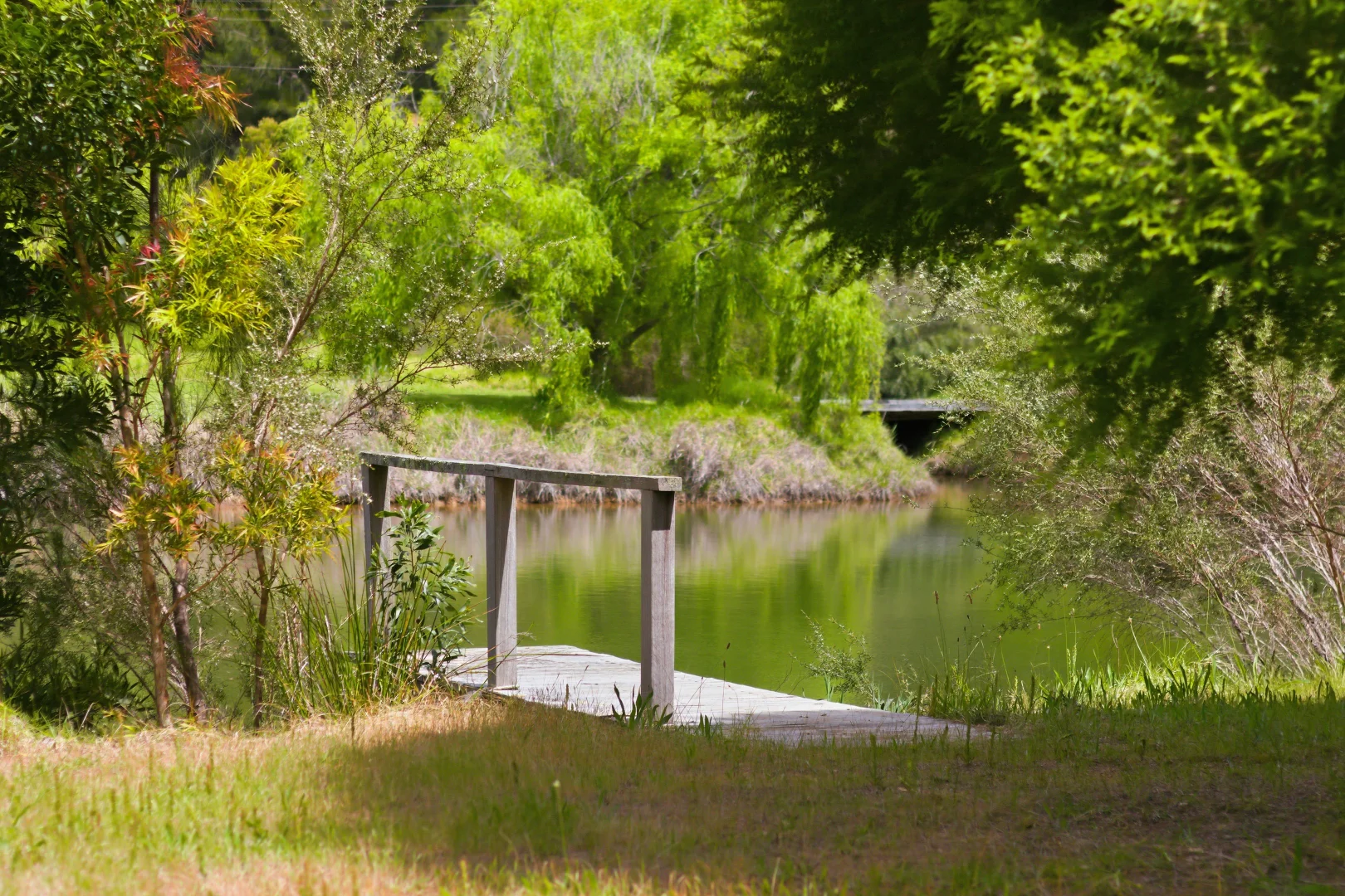 Additional image 14 of Lot PL 2/1120 Wildwood Road, Yallingup Siding WA 6282