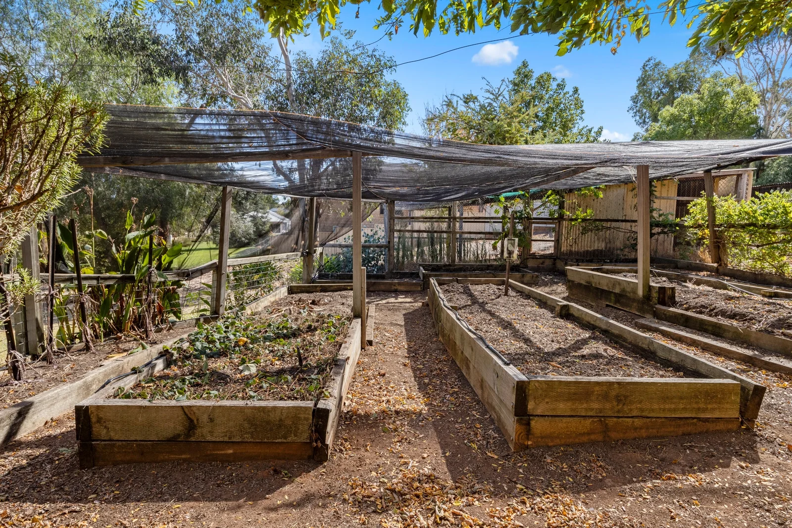 Additional image 24 of 16 O'Brien Street, Yass NSW 2582