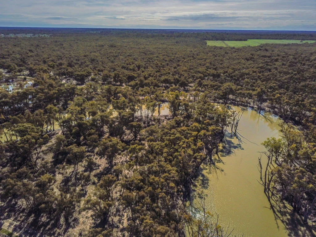 Additional image 35 of 'Wetuppa' 245 Fisher Lane, Wetuppa NSW 2734