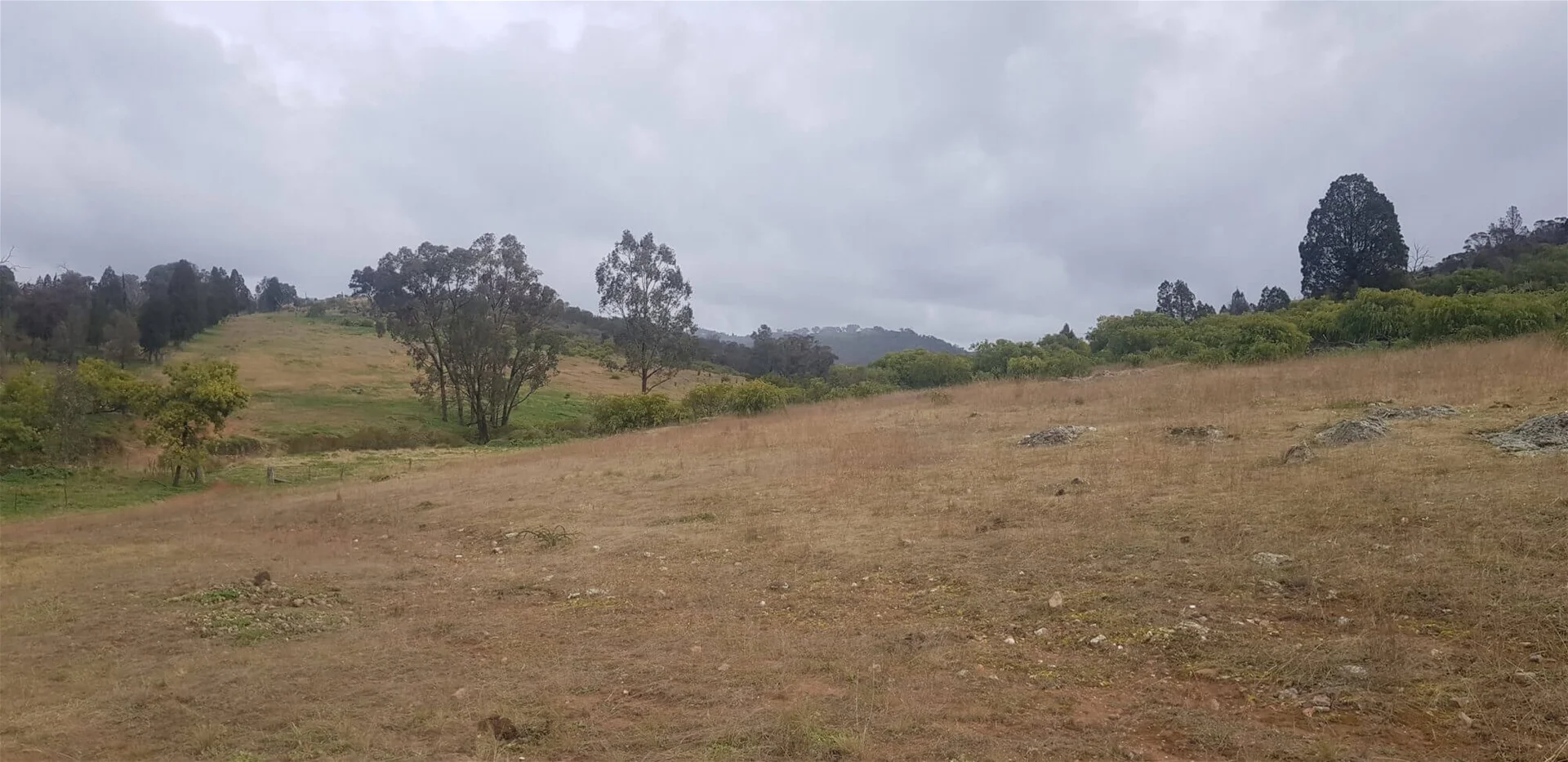 Additional image 3 of 655 Monaghans Rd, Manildra NSW 2865