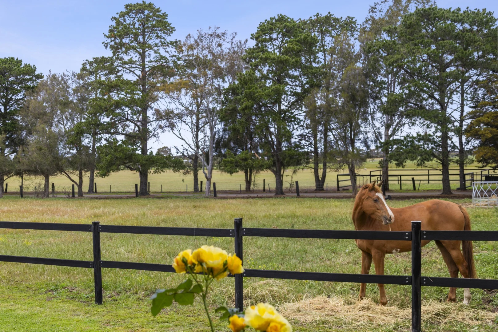 Additional image 14 of 2249 Midland Highway, Bannockburn VIC 3331