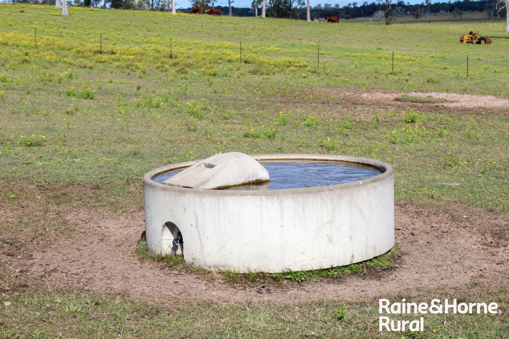 Additional image 31 of Lot 11 Summerland Way, Casino NSW 2470