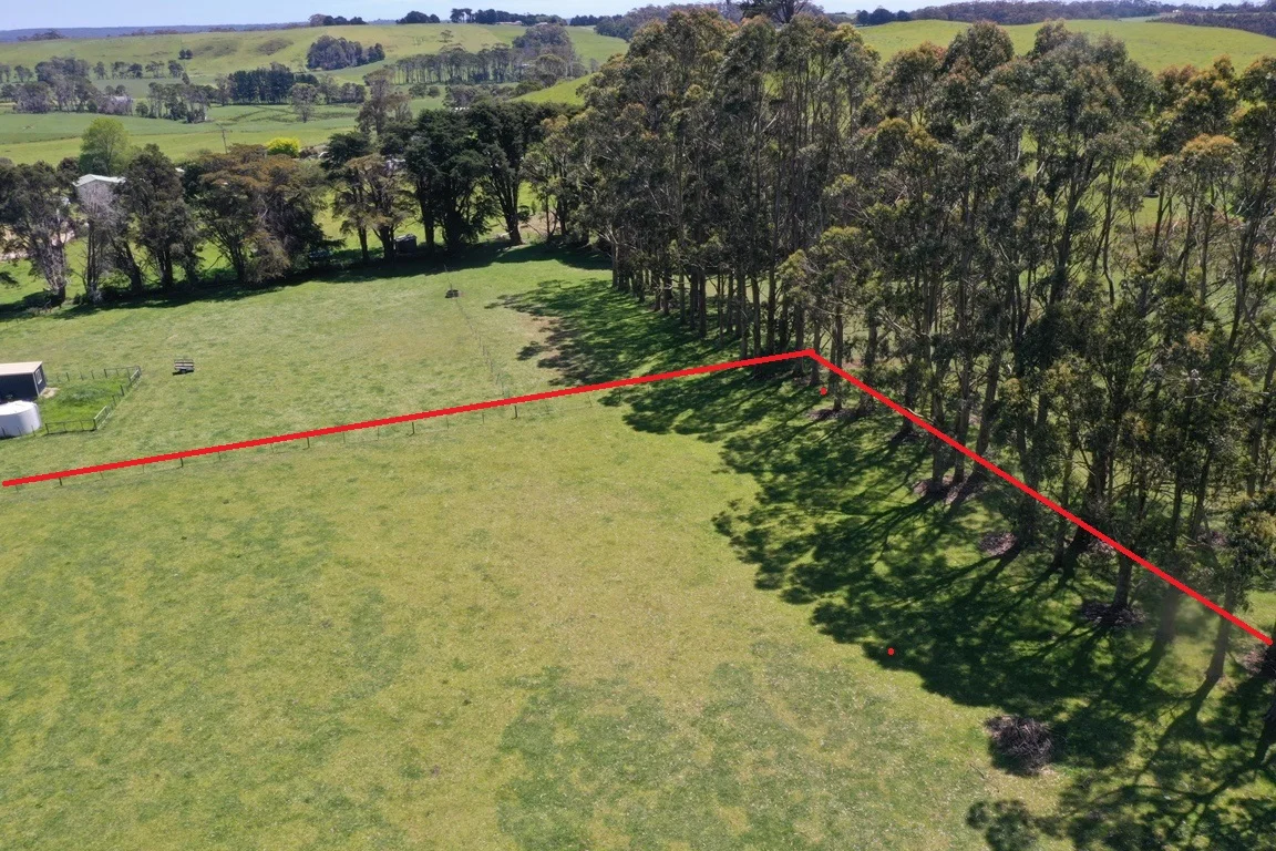 Additional image 9 of 31 Johns Hill Road, Irishtown TAS 7330