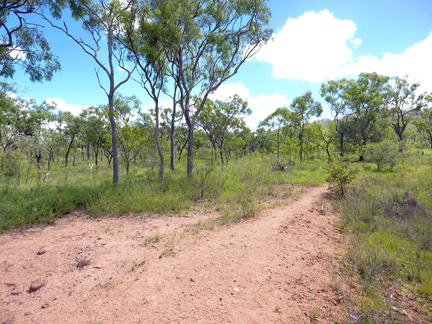 Additional image 4 of Dimbulah QLD 4872