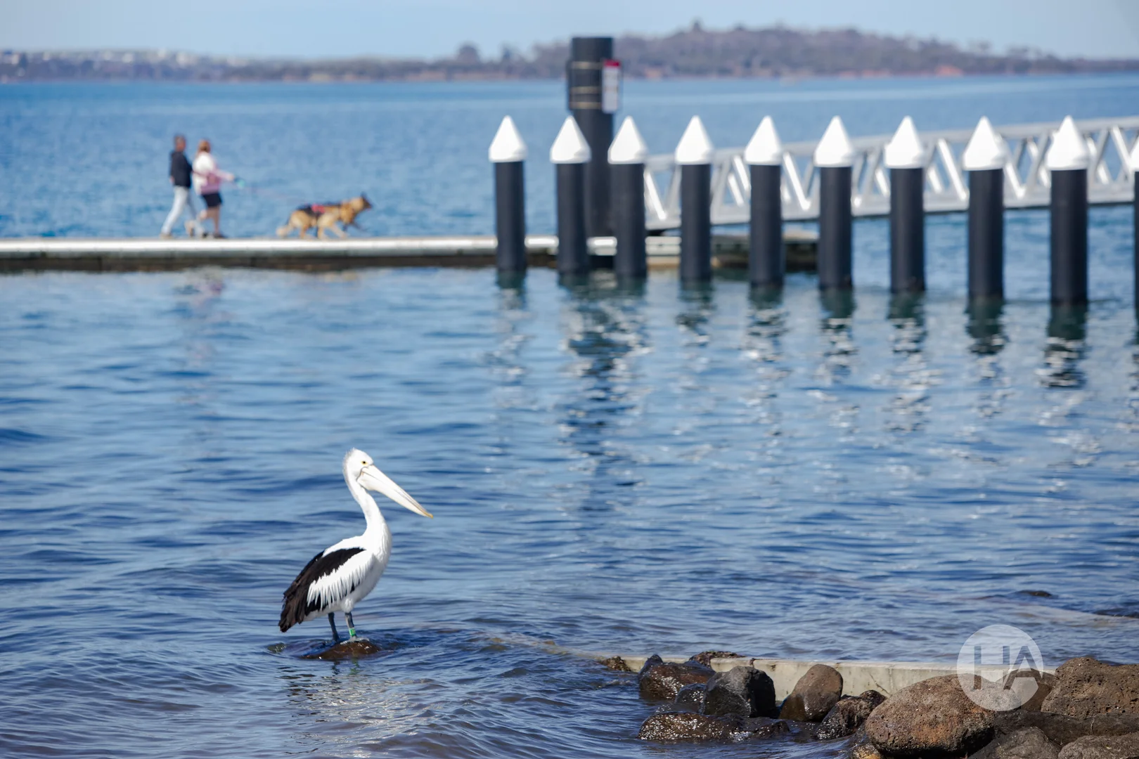 Additional image 7 of 92 Mcfees Road, Rhyll VIC 3923