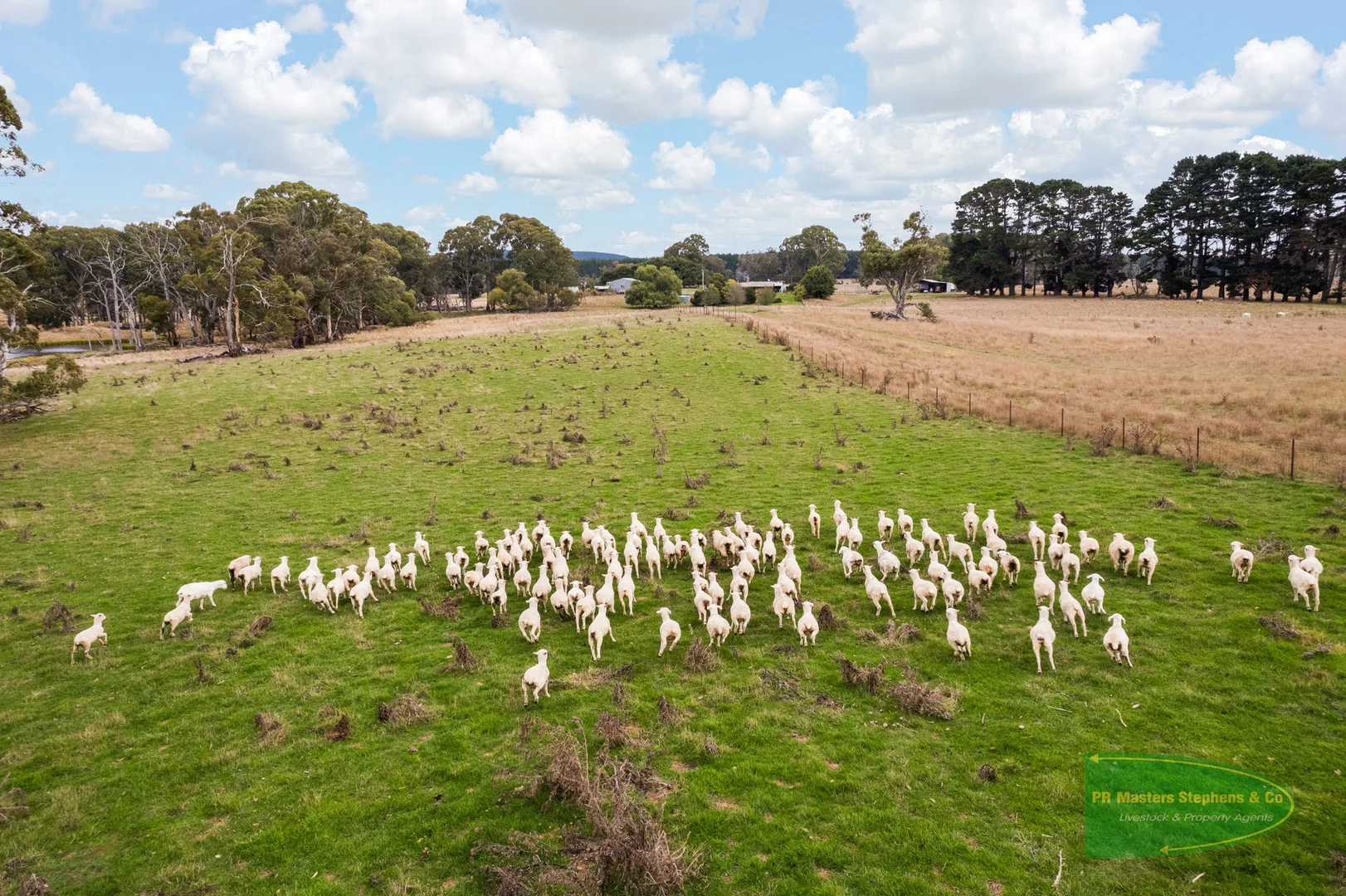 Additional image 5 of 800 Riverview Forest Road, Mozart NSW 2787