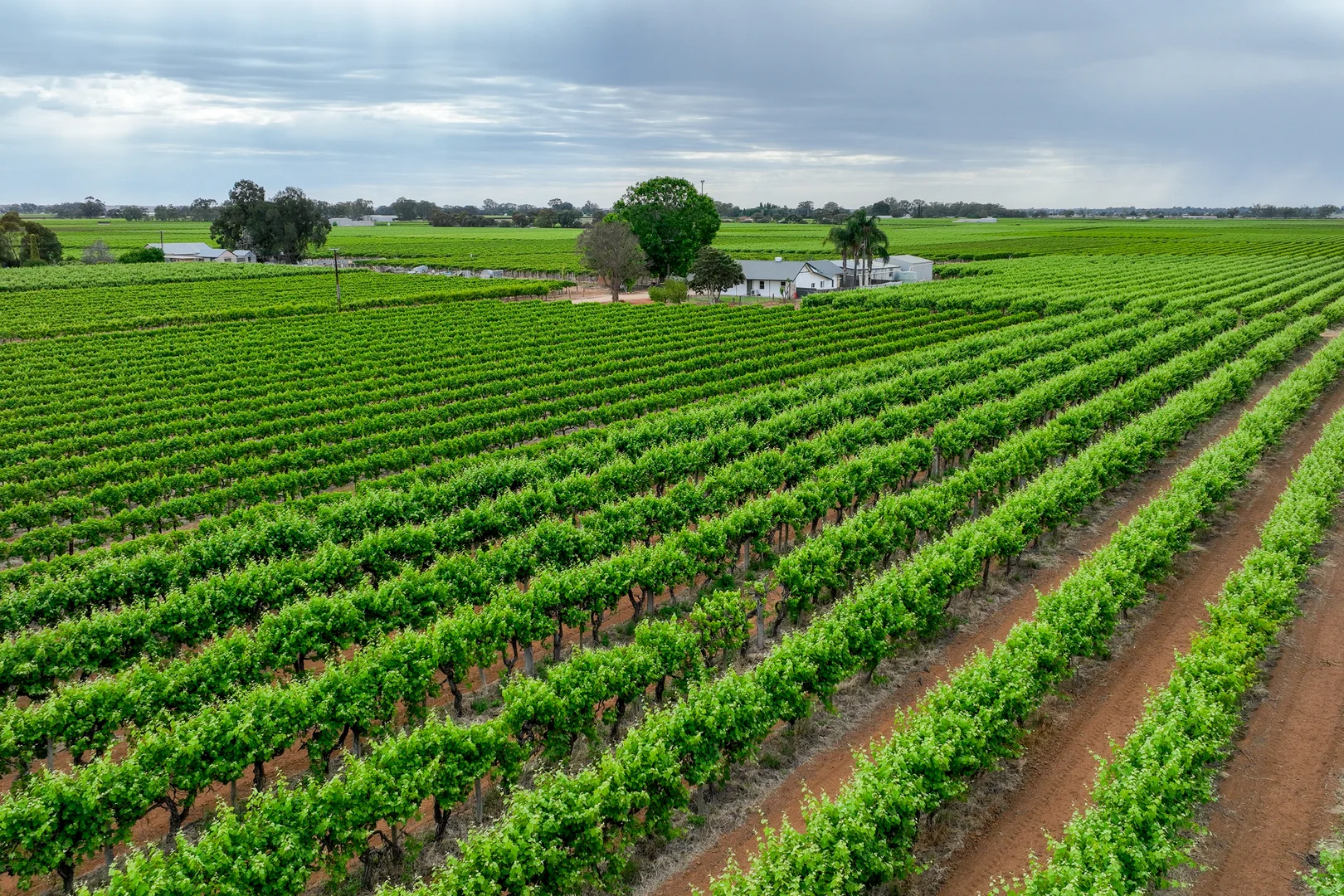 Additional image 42 of 50 Arnold Coats Road, Cobdogla SA 5346