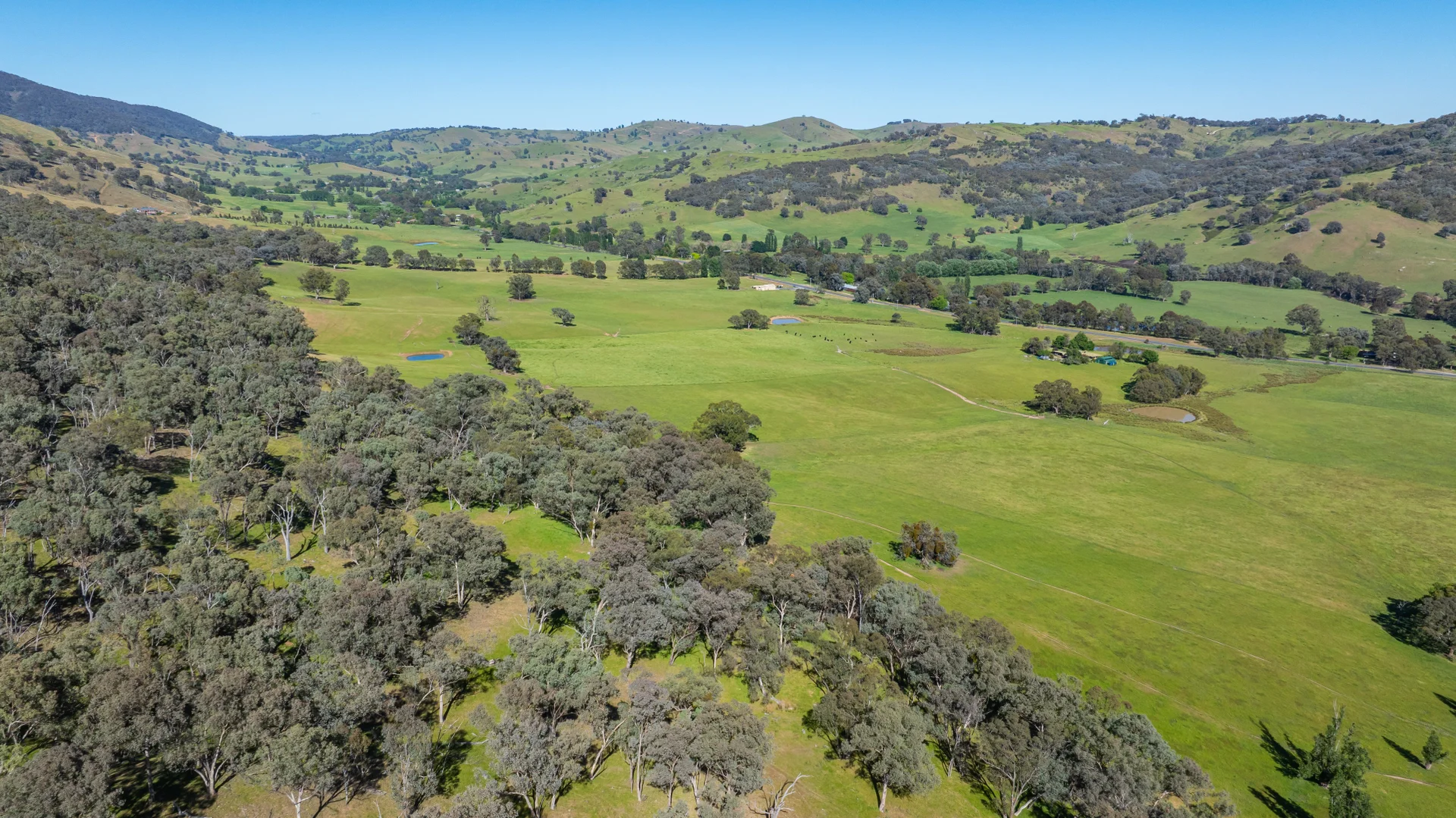 Additional image 13 of 60 Darmodys Road, Leneva VIC 3691