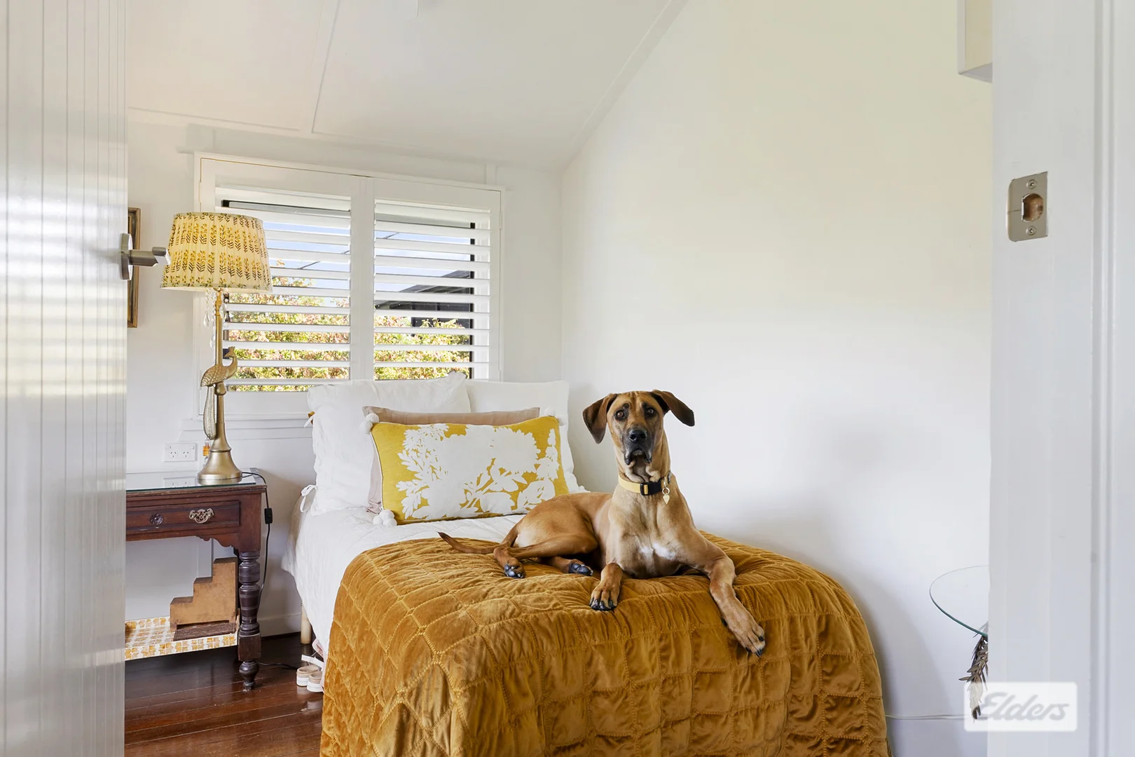 Additional image 11 of 3 Old Ferry Road, Murwillumbah NSW 2484