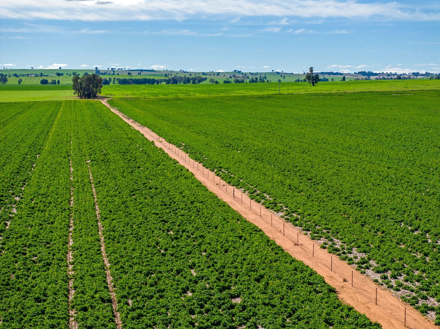 Additional image 9 of 2214 Coolamon Road, Coolamon NSW 2701