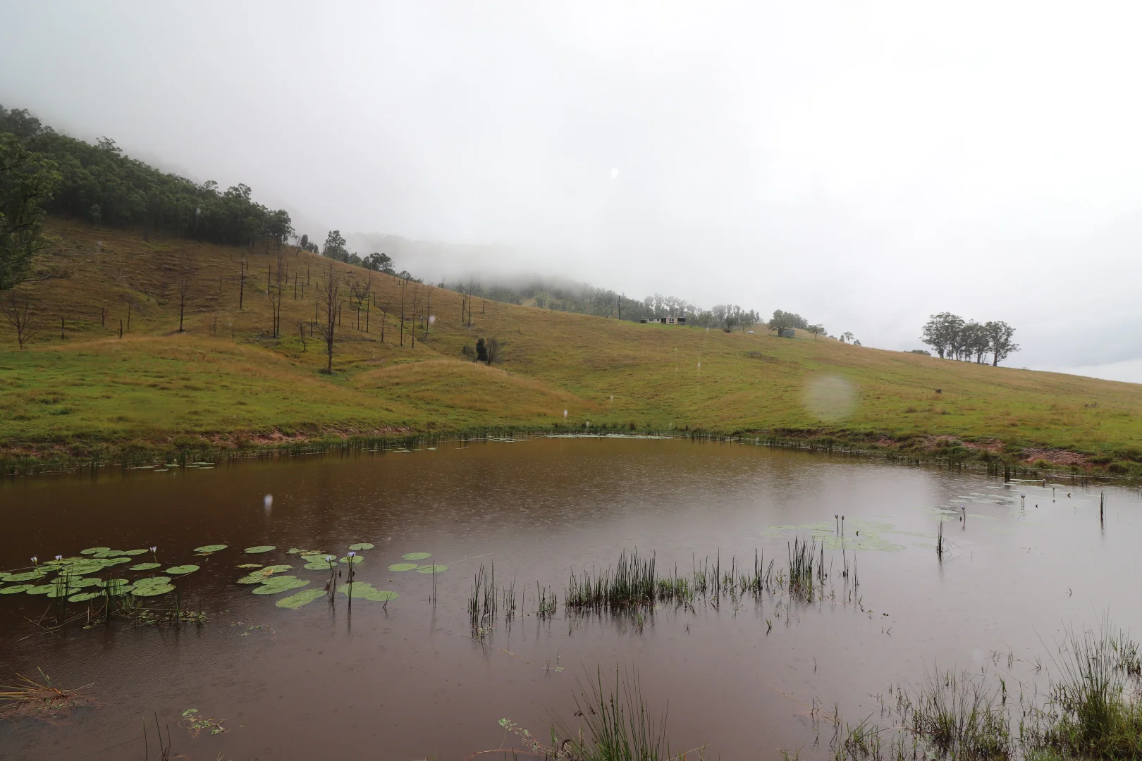 Additional image 4 of 8282 Armidale Road, Lower Creek NSW 2440