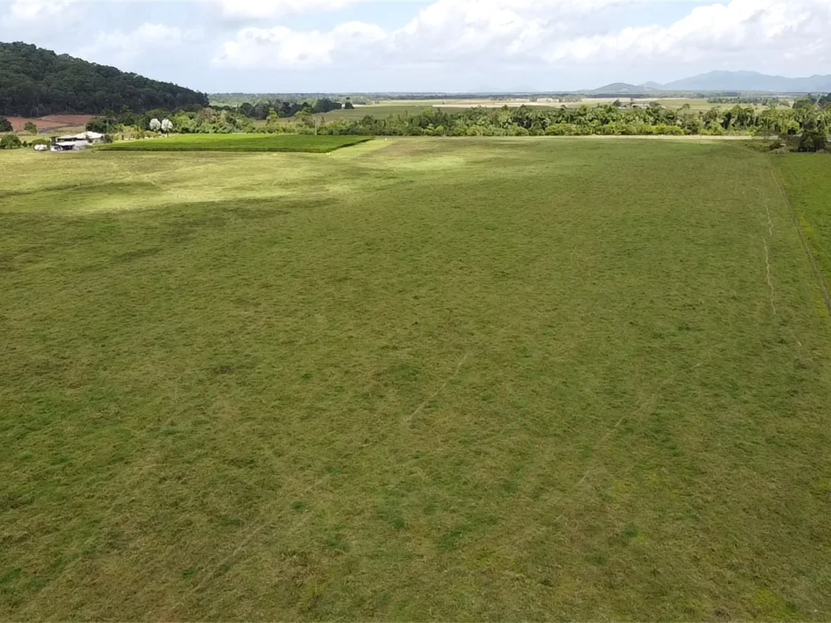 Additional image 5 of 000 Gangemi Road, Cowley QLD 4871