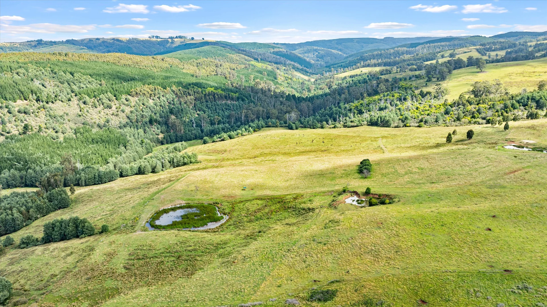 Additional image 38 of 120 Lyndons Road, Callignee VIC 3844