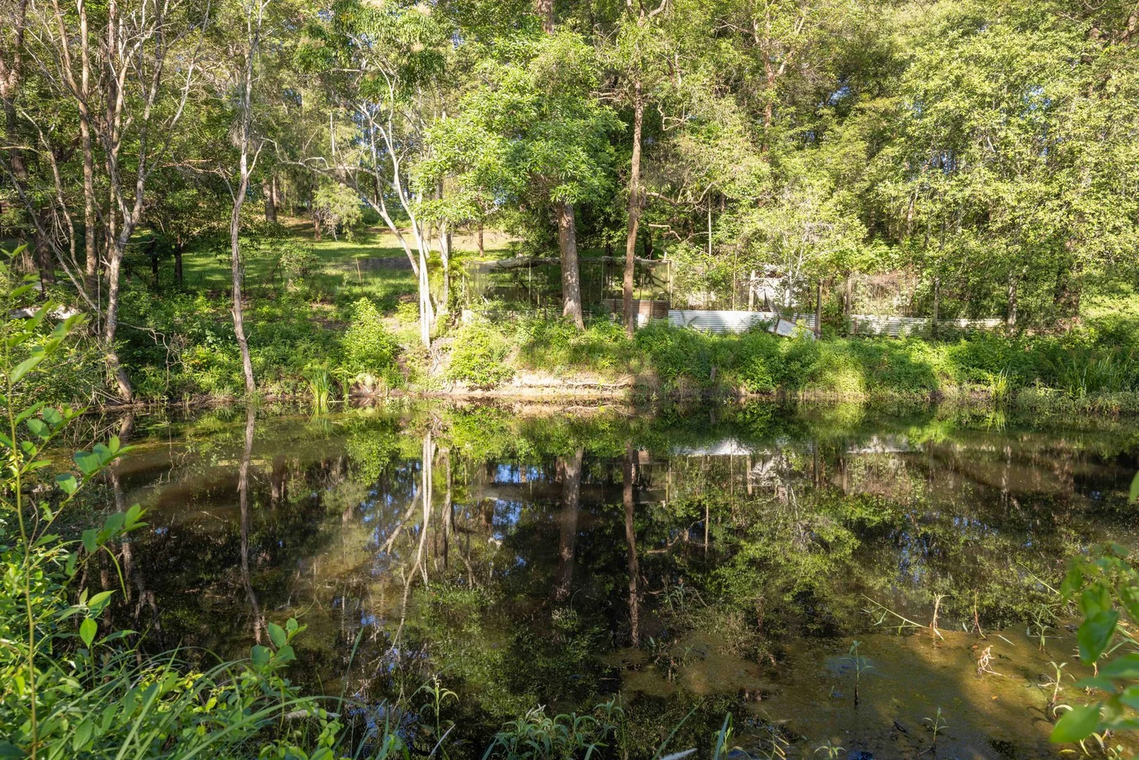 Additional image 6 of 72 Pringle Road, Rosemount QLD 4560