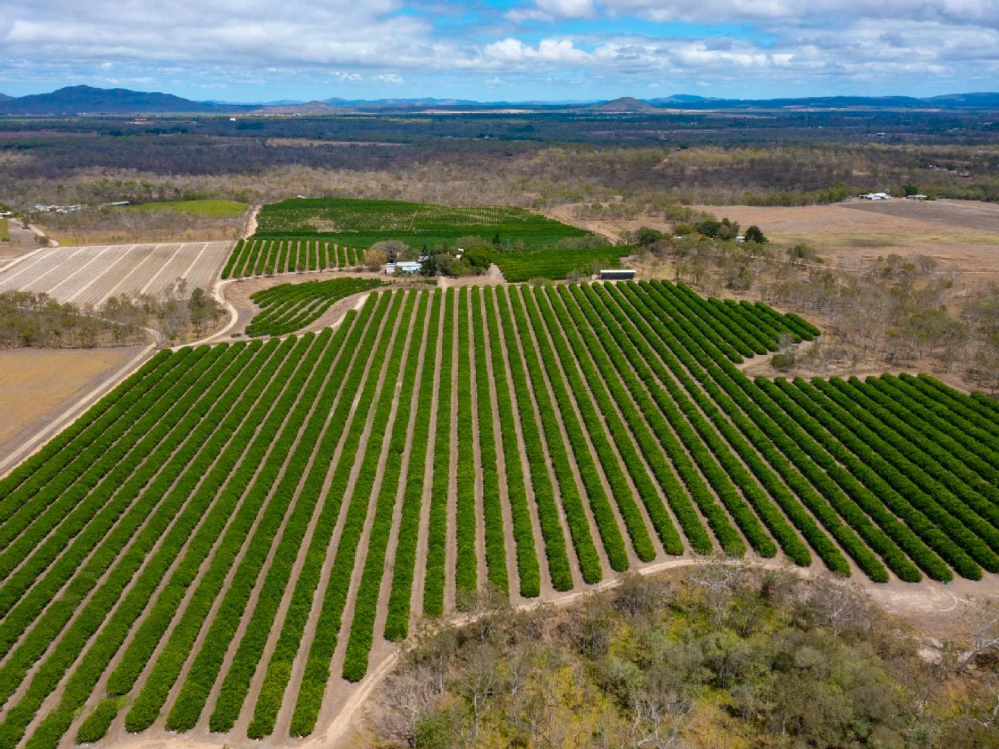 Additional image 7 of 22 LEONARDI ROAD, Mareeba QLD 4880