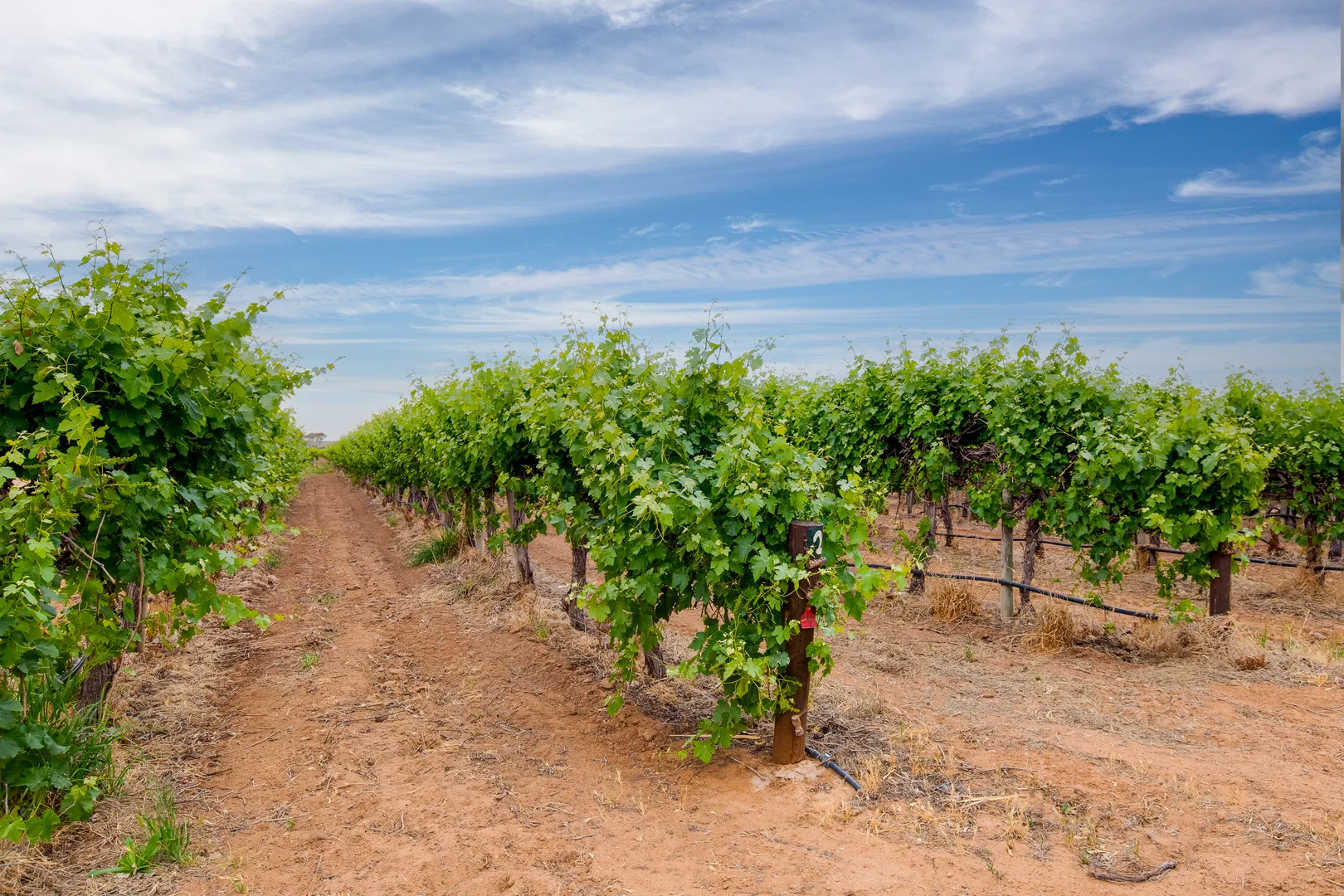 Additional image 32 of 50 Arnold Coats Road, Cobdogla SA 5346