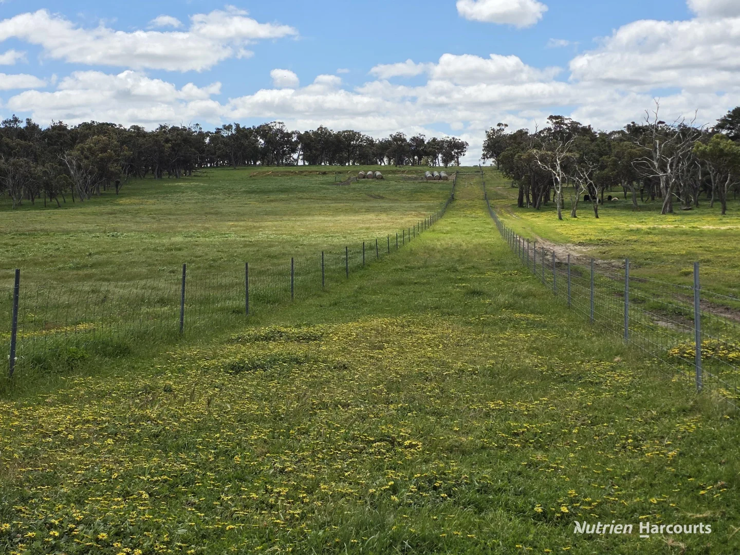 Additional image 32 of 1867 Chester Pass Road, Napier WA 6330