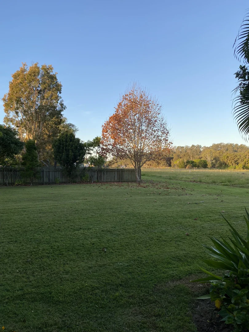 Additional image 17 of 5 Hogues Lane, Maclean NSW 2463