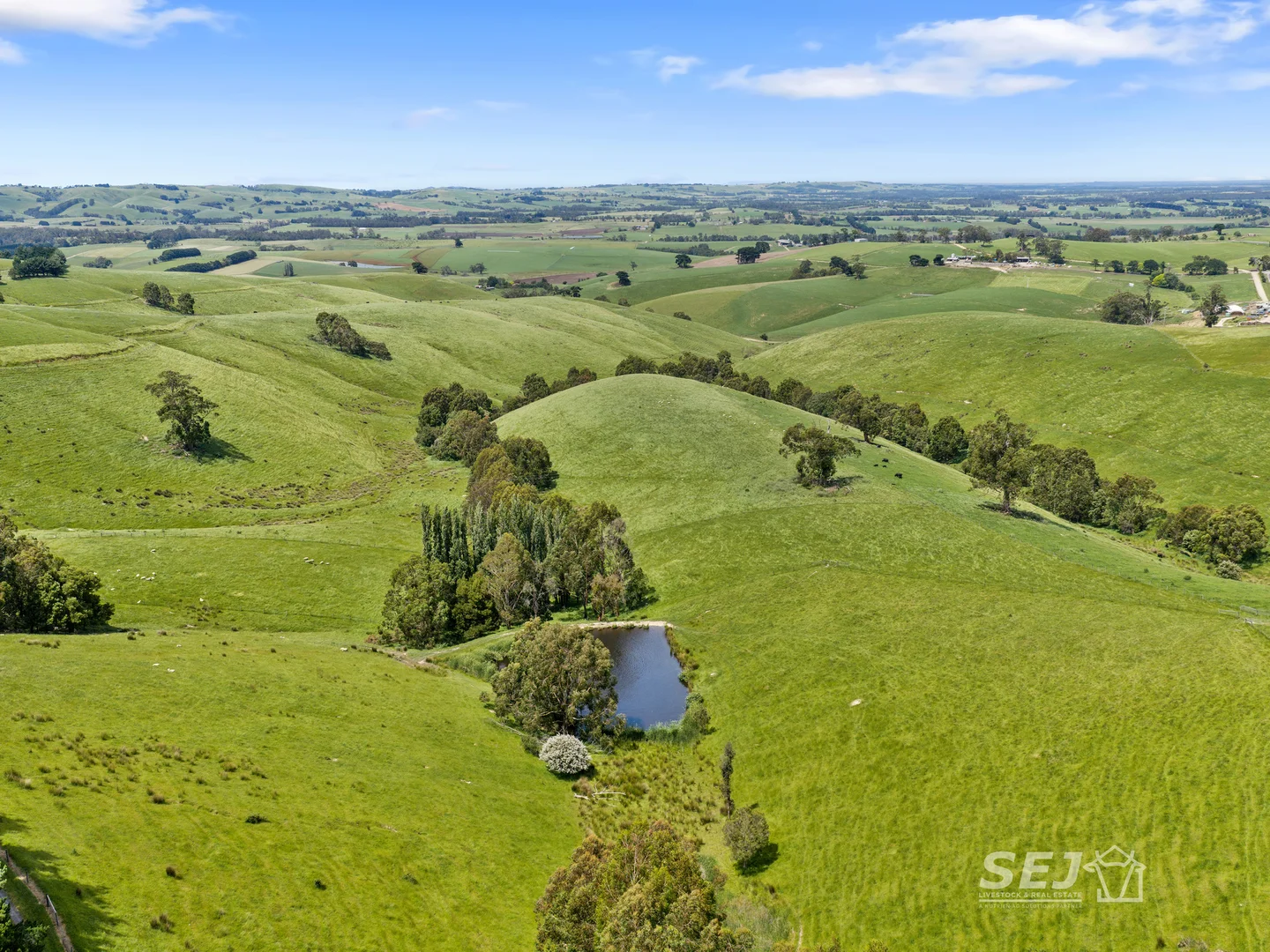 Additional image 5 of 1510 Meeniyan-Mirboo North Road, Dumbalk VIC 3956