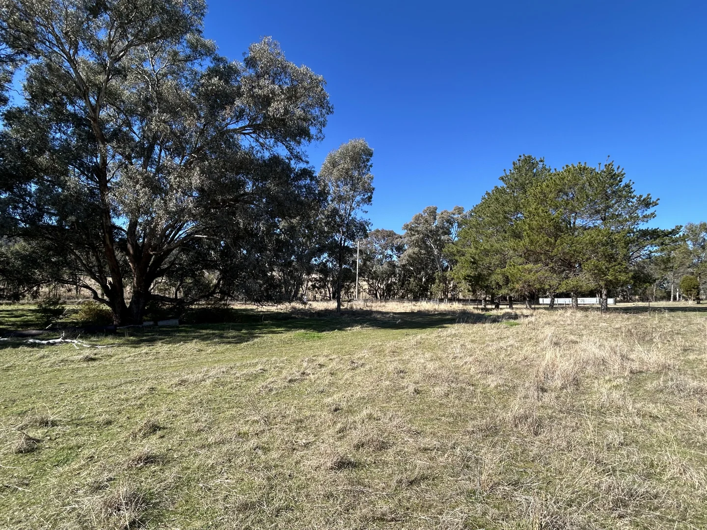 Additional image 18 of 1174 Pine Mount Road, Woodstock NSW 2793