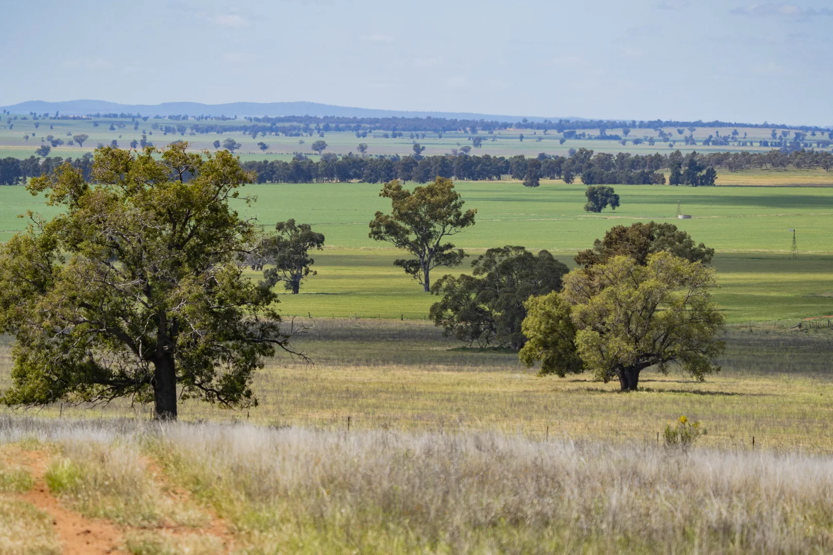 Additional image 5 of 869 Newell Highway, Narrandera NSW 2700