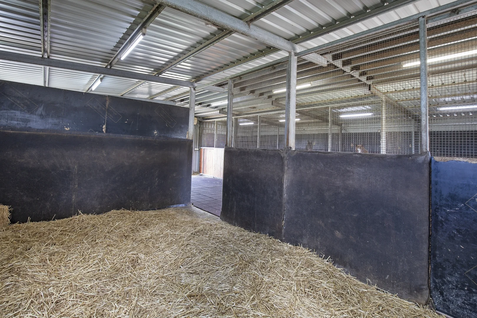 Additional image 13 of 114 Cemetery Road, Smeaton VIC 3364