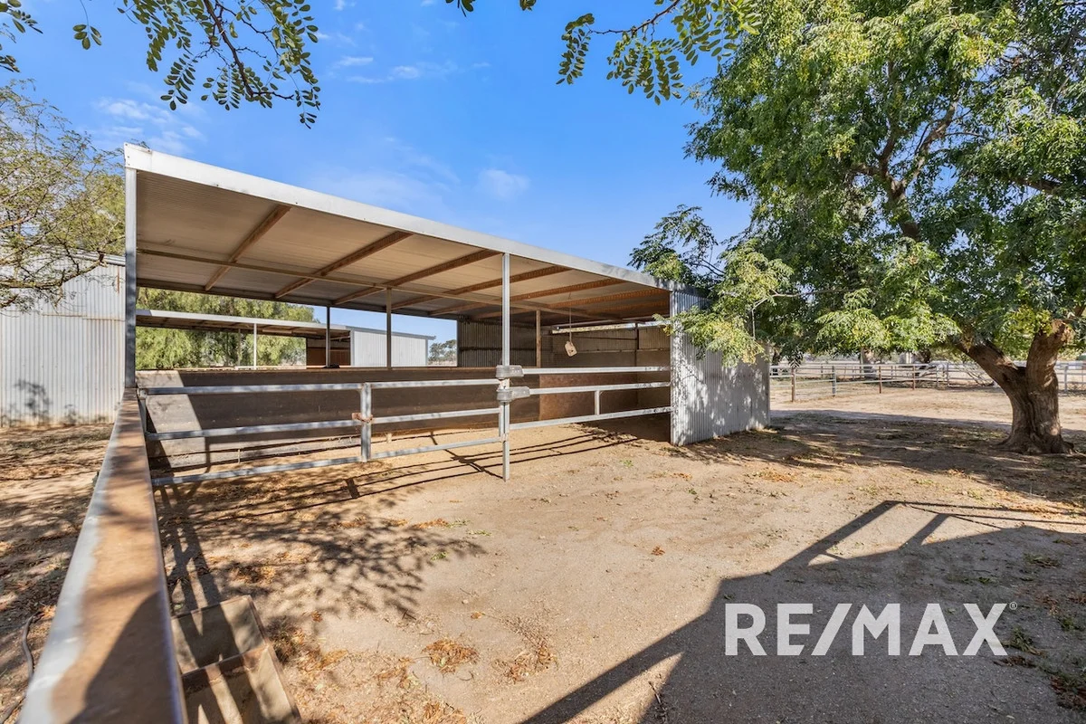 Additional image 22 of 2463 Sturt Highway, Collingullie NSW 2650