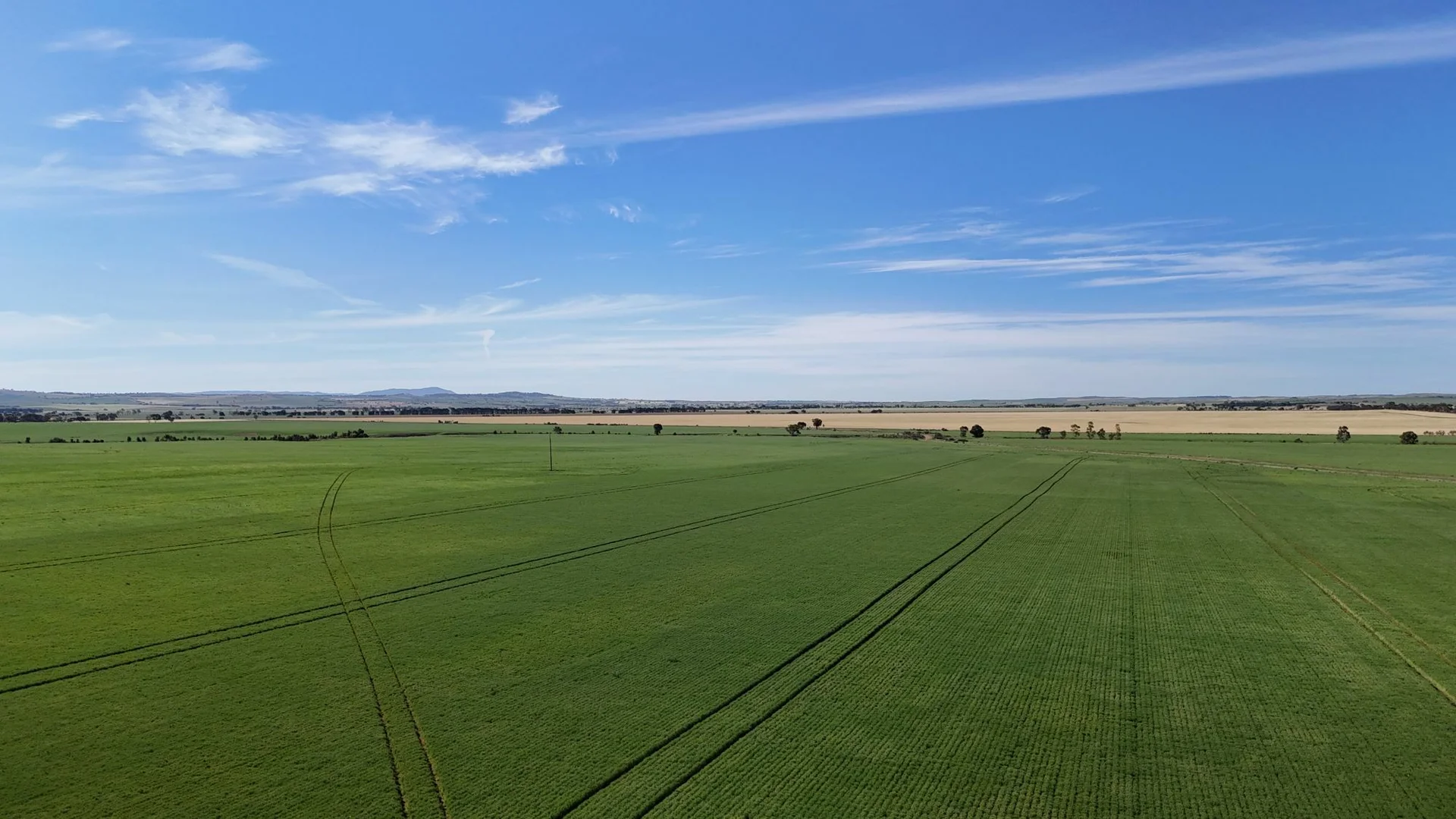 Additional image 7 of 'Pinefield' 186 Catford Rd, Appila SA 5480