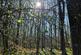 Additional image 2 of Needlewood Grove, Redditch, Worcestershire B48