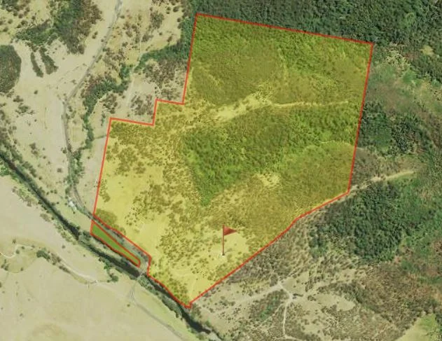 Additional image 36 of 3756a Thunderbolts Way, Bretti NSW 2422