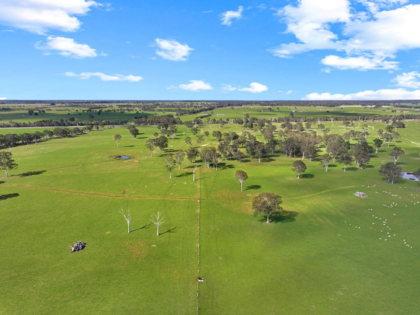 Additional image 6 of 1380 Princes Highway, Hillside VIC 3875