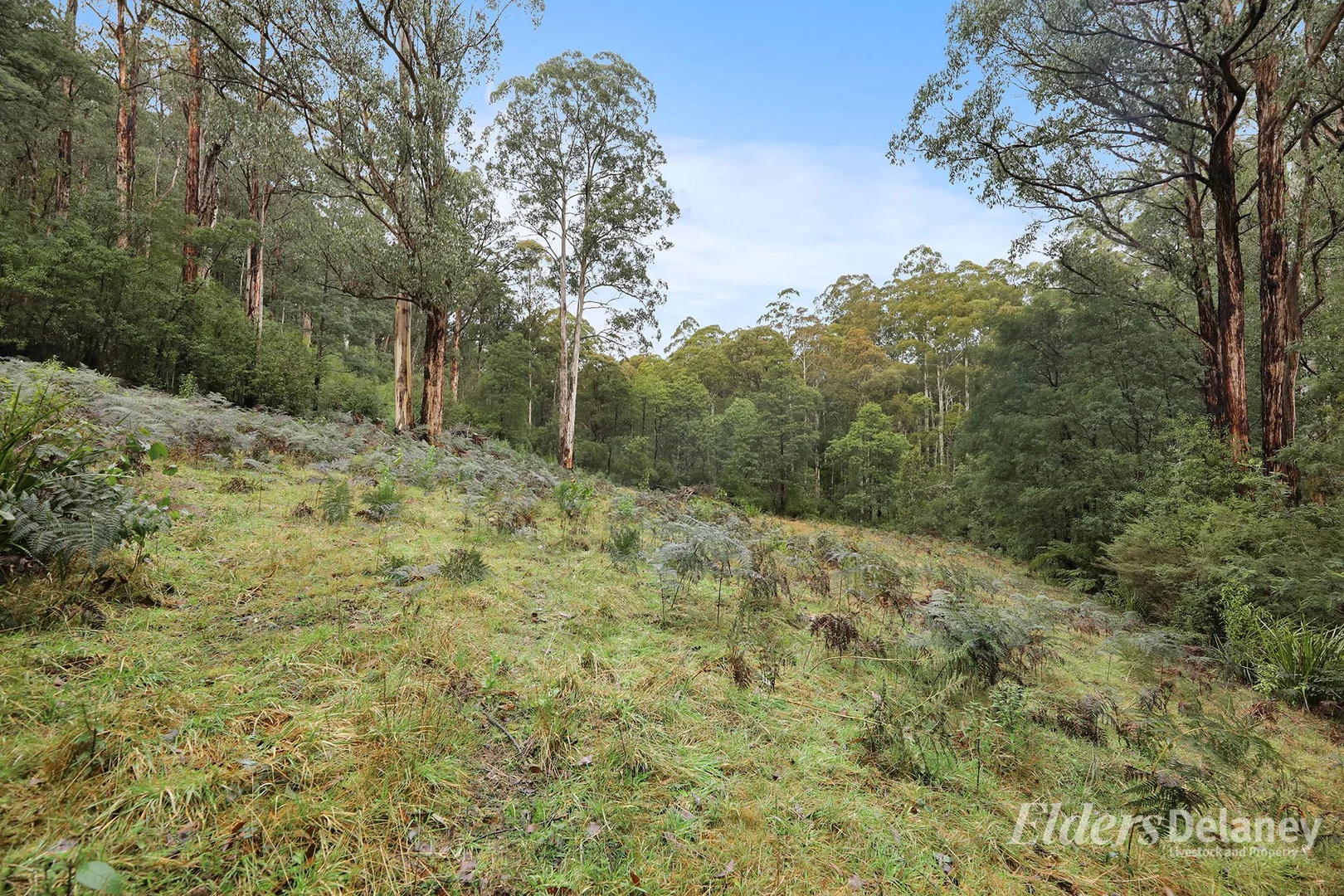 Additional image 23 of 134 Duggan North Road, Fumina VIC 3825