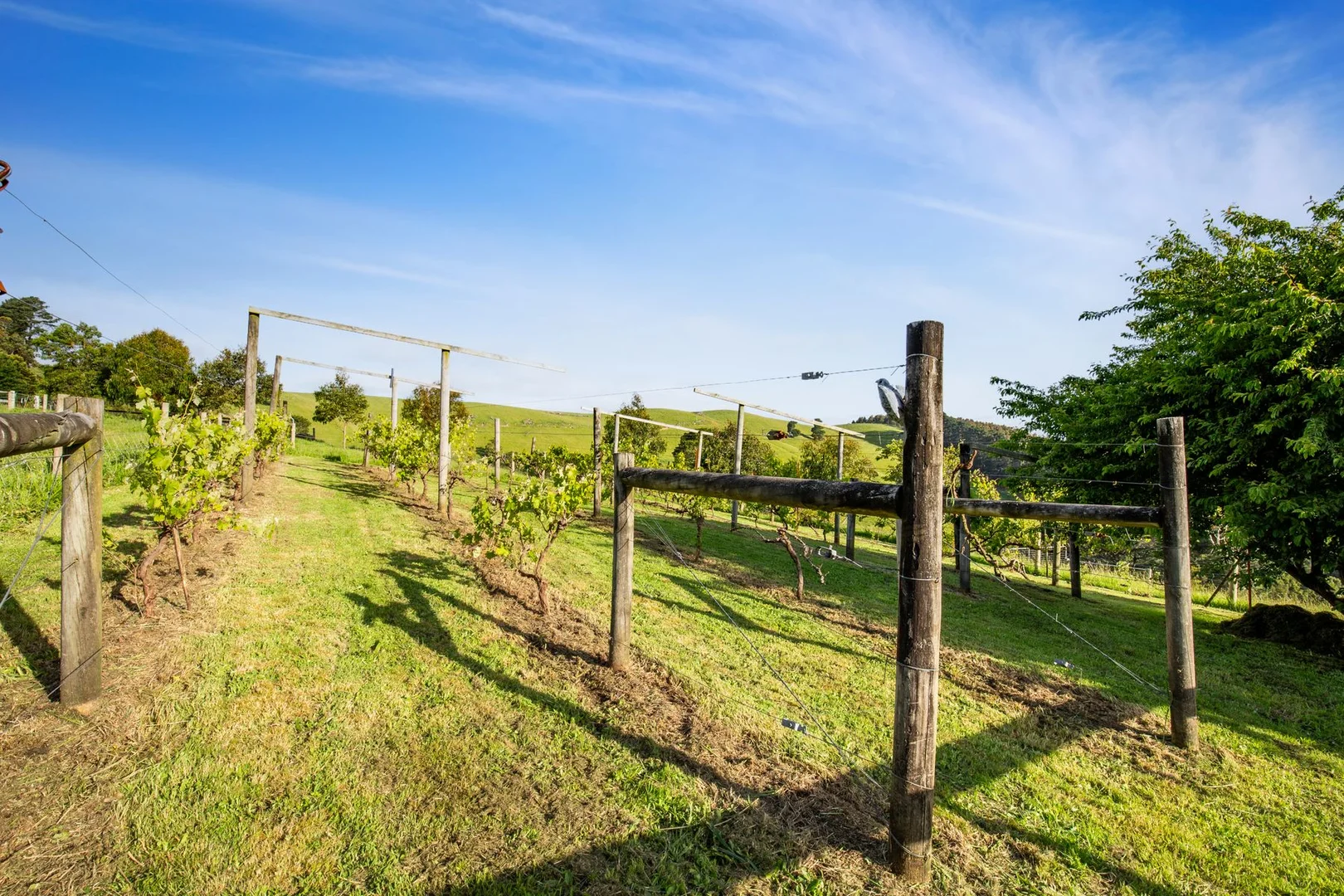 Additional image 35 of 3100 South Gippsland Highway, Foster North VIC 3960