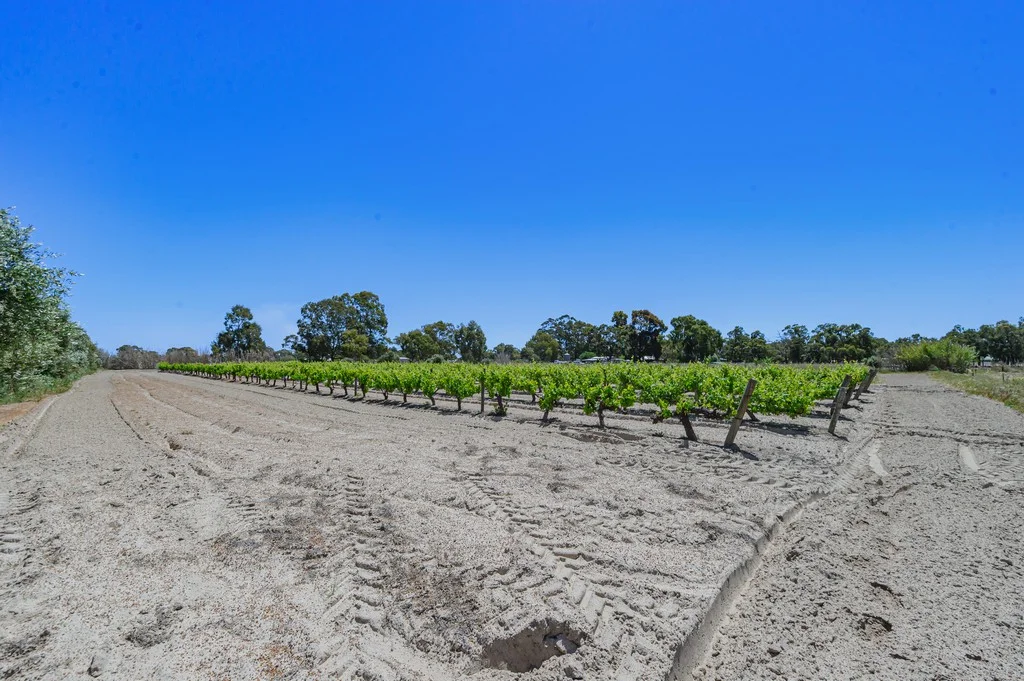 Additional image 18 of 115 Haddrill Road, Baskerville WA 6056