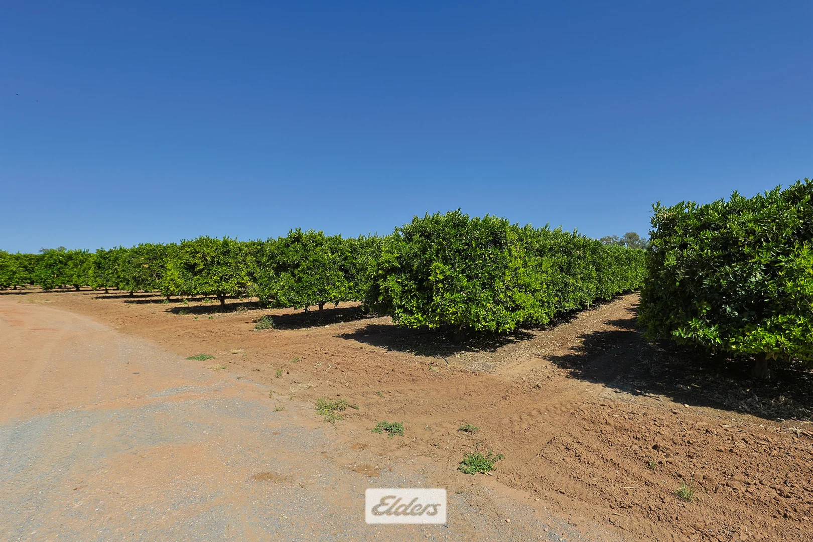 Additional image 8 of 310 Delta Road, Curlwaa NSW 2648