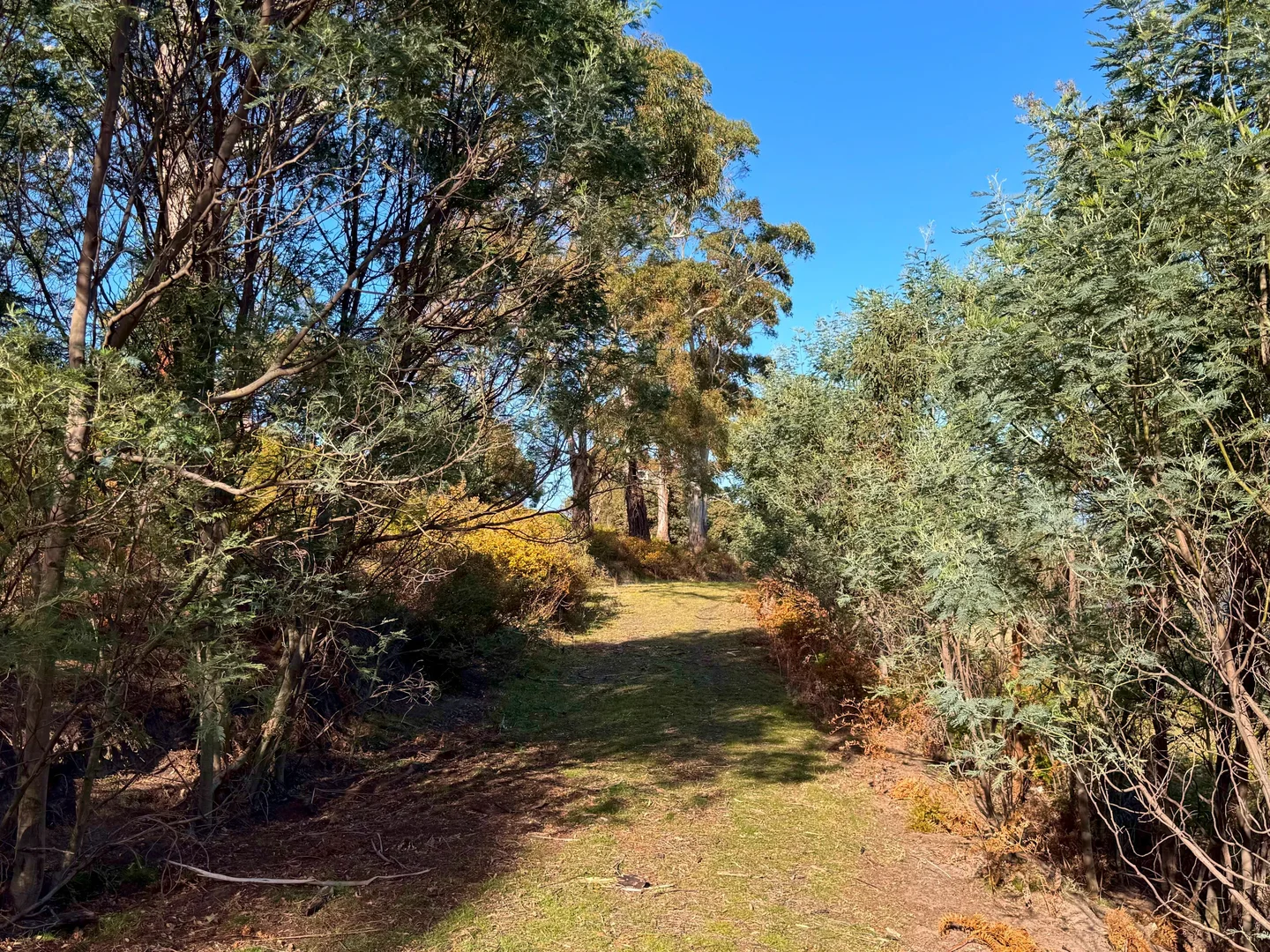 Additional image 14 of 26 Kandara Court, Campania TAS 7026