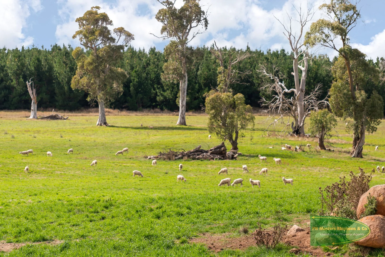Additional image 7 of 800 Riverview Forest Road, Mozart NSW 2787