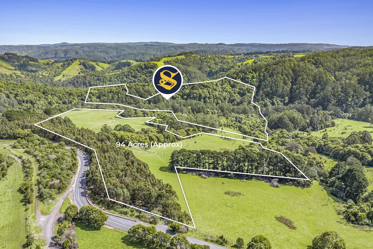 Additional image 17 of 675 Skenes Creek Road, Skenes Creek North VIC 3233