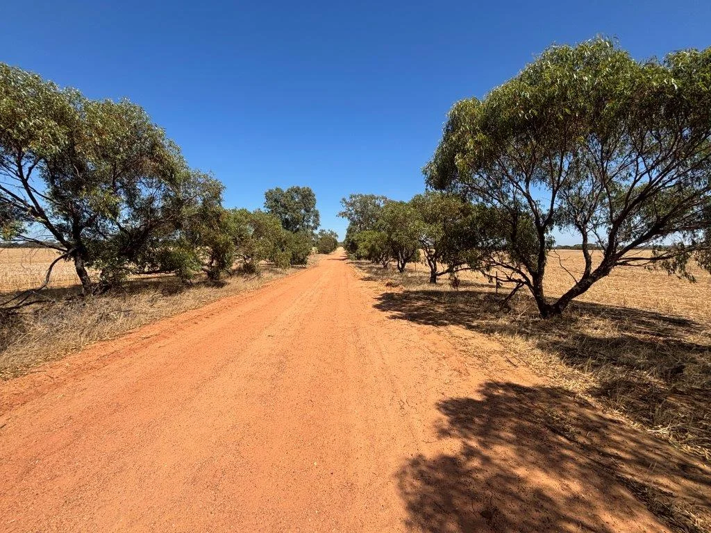 Additional image 23 of 1105 Coorow-Greenhead Road, Coorow WA 6515