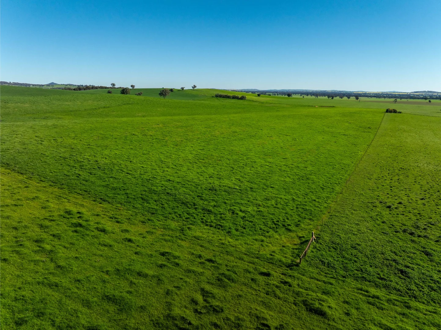 Additional image 2 of 272 Bulloc Hill Road, Mangoplah NSW 2652