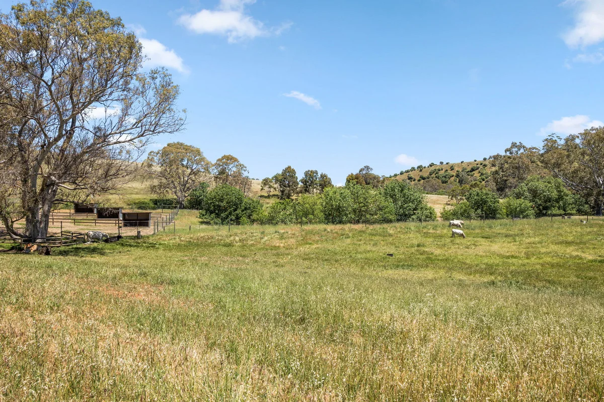 Additional image 41 of 156 Woodlands Road, Cockatoo Valley SA 5351
