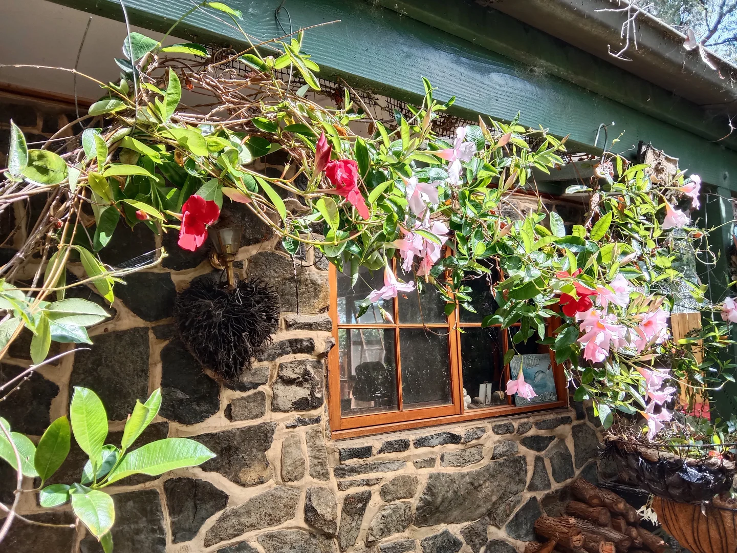 Additional image 21 of 31 Bayview Avenue, Tenby Point VIC 3984